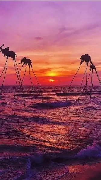 Иллюстрация к заметке: Sunset Sanato: пляж, куда едут ради заката и фотографий